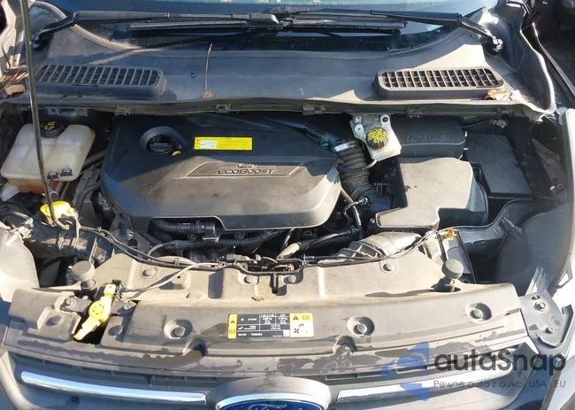 1FMCU0GX4GUA03549: 42710069