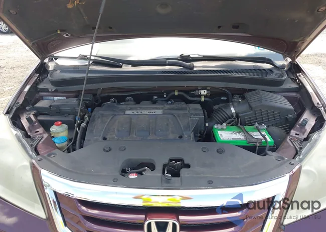 5FNRL3H60AB062445: 42710897