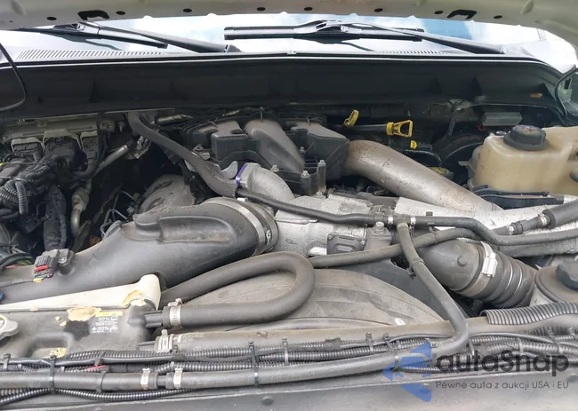 1FT7W2BT7BEA29517: 42716456