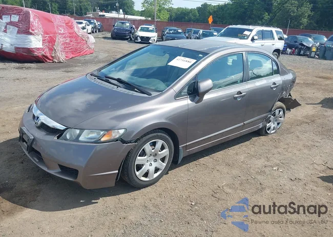 2HGFA1F53AH539937: 42716880