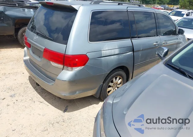 5FNRL38648B076892: 42717829