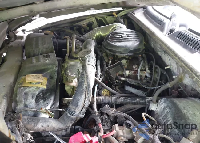 1B7HL2AX01S333189: 42719224