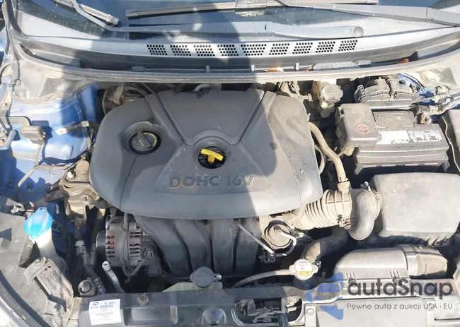 5NPDH4AEXGH732743: 42719931