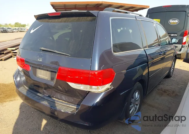 5FNRL38798B023081: 42720091