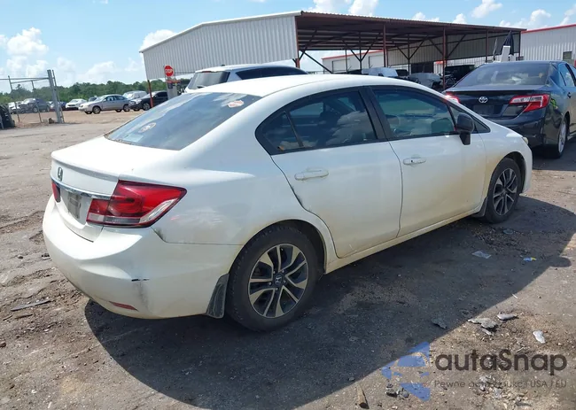 19XFB2F87EE016319: 42721088