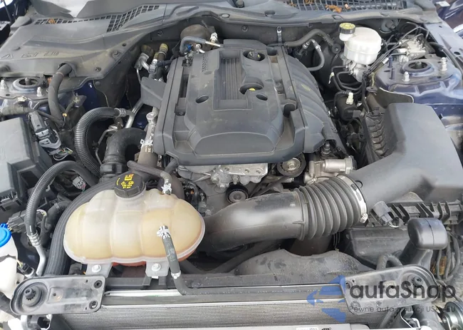 1FA6P8TH9L5126506: 42721882