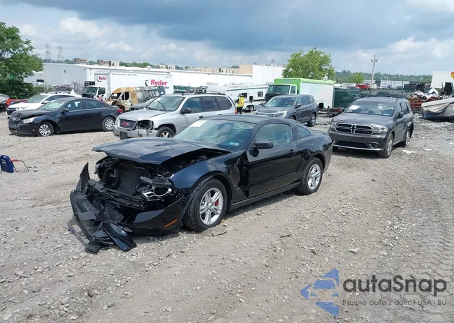 1ZVBP8AMXB5154447: 42723044