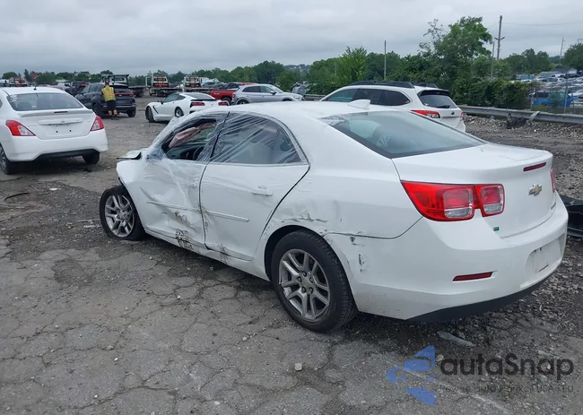 1G11C5SA0GF166310: 42724748