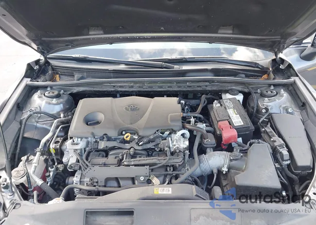 4T1C11AKXPU112853: 42723861