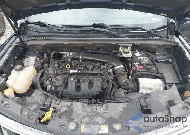 5LMCJ1C96GUJ31195: 42724075