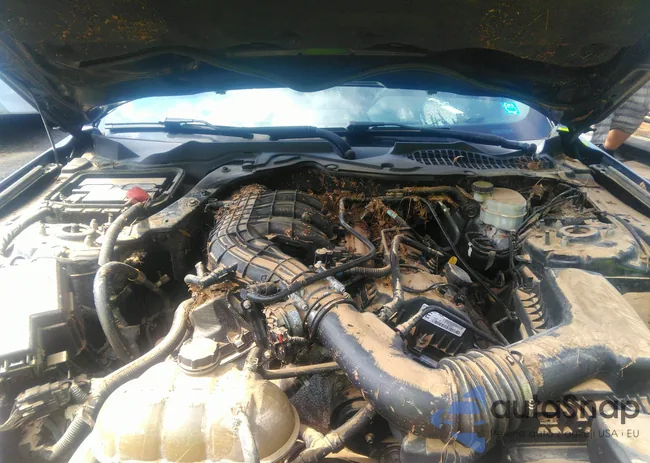 1FA6P8AM6F5373681: 42726545