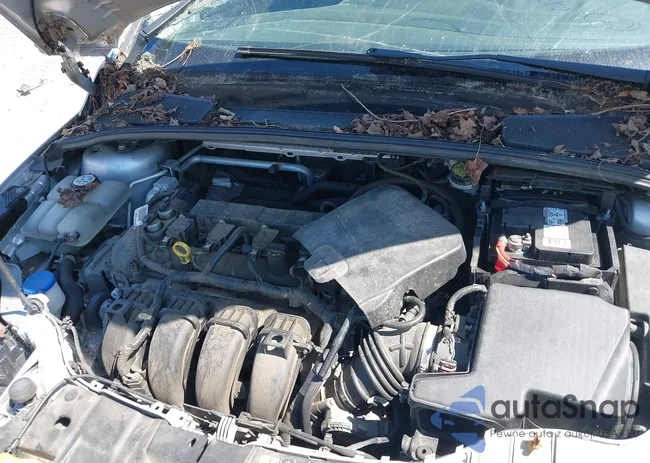 1FADP3F26GL296597: 42725859