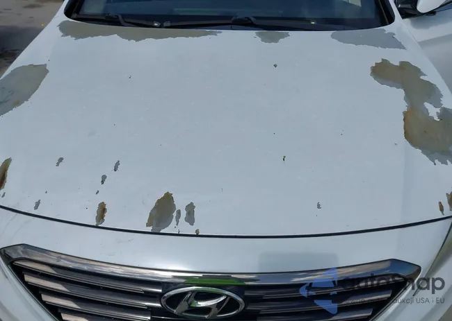 5NPE34AB2FH041309: 42728014