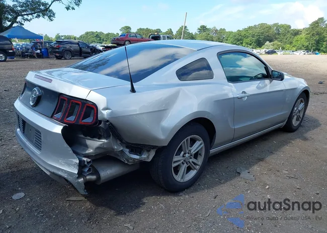 1ZVBP8AM5D5218722: 42728064