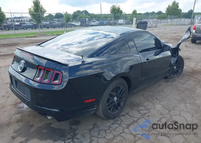 1ZVBP8AM9E5207899: 42729710