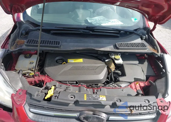 1FMCU0GX5DUD49900: 42728852