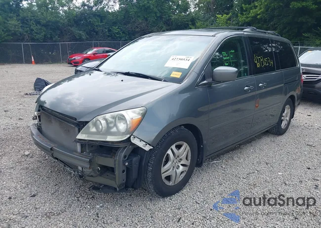 5FNRL38737B134384: 42730534