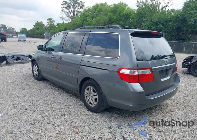 5FNRL38737B134384: 42730534