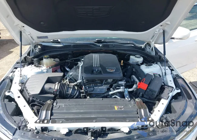 1G6DB5RK0L0139372: 42730665