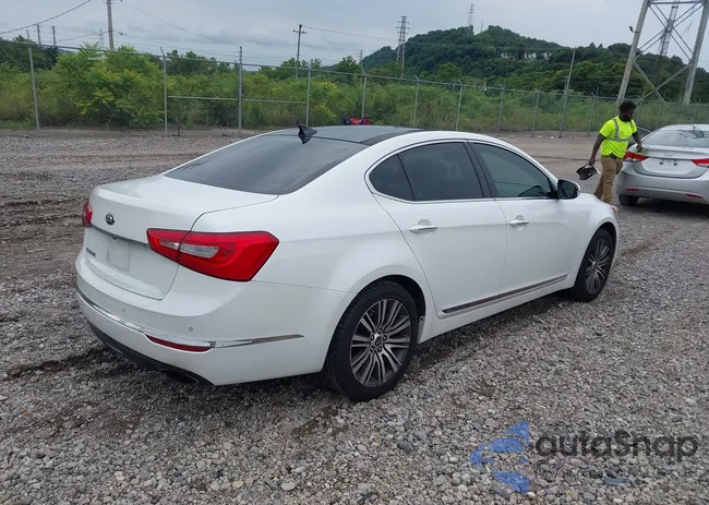 KNALN4D7XF5173448: 42729989