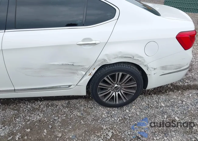 KNALN4D7XF5173448: 42729989