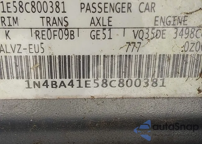 1N4BA41E58C800381: 42731159