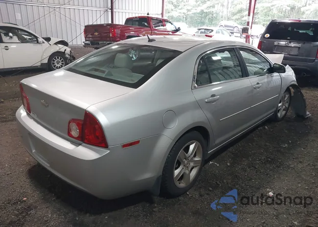 1G1ZB5E11BF123251: 42730994