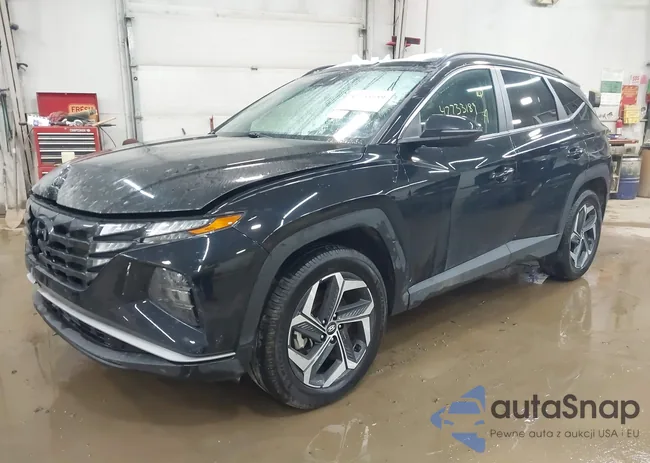 5NMJFCAE1PH287745: 42733189