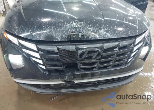 5NMJFCAE1PH287745: 42733189