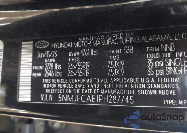 5NMJFCAE1PH287745: 42733189