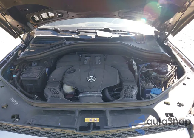 4JGDF6EE7FA524302: 42733439