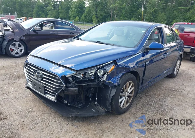 5NPE24AF2KH798825: 42732897