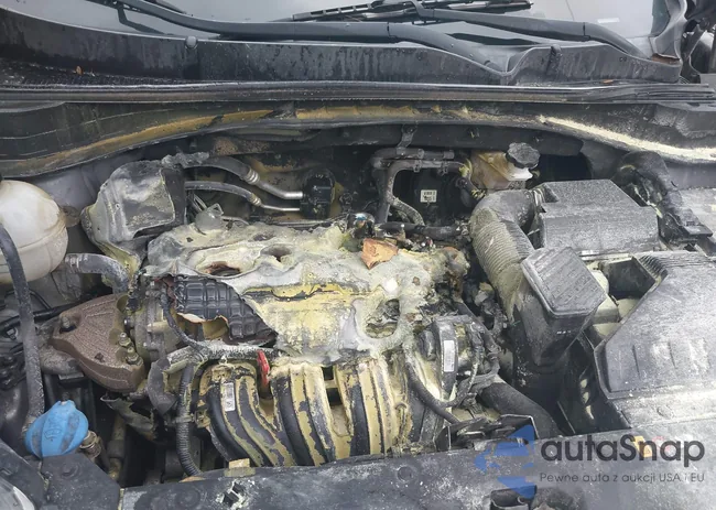 KNDPNCAC9H7181810: 42732955