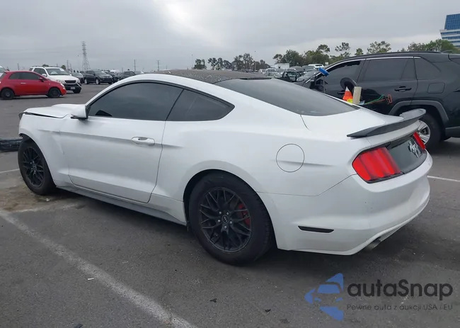 1FA6P8AM2G5221169: 42734563