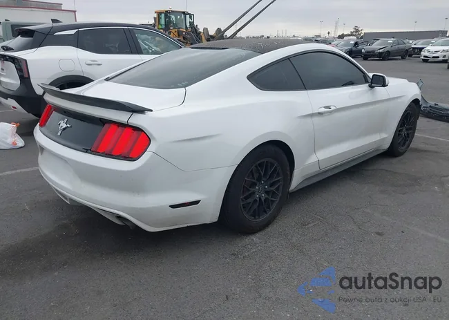 1FA6P8AM2G5221169: 42734563