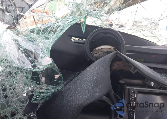 JTLKT334664108175: 42733873