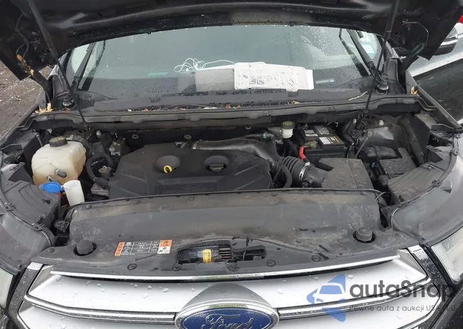 2FMTK4J93FBB19191: 42735679