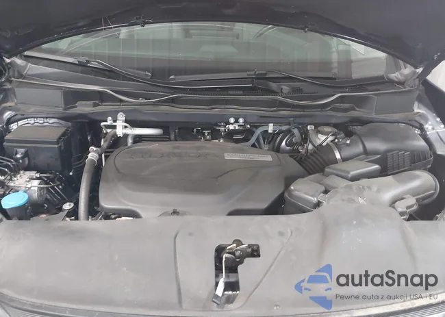 5FNRL6H75LB008412: 42736231