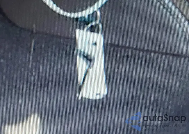 58ADZ1B12LU076095: 42736236