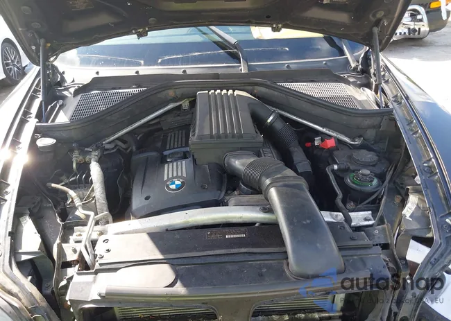 5UXFE4C55AL382499: 42736871