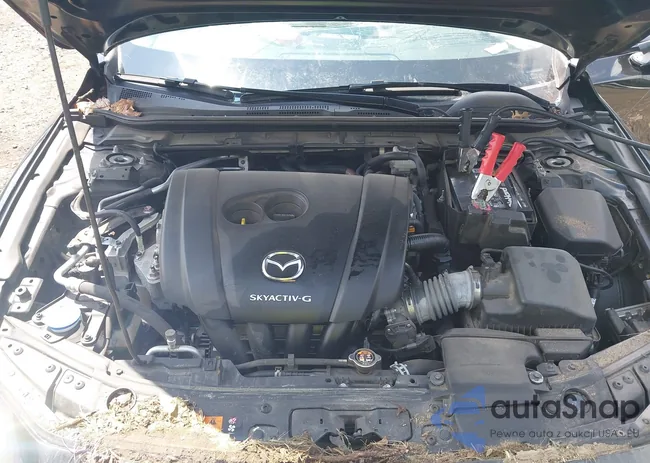 3MZBPABL3MM251306: 42738098