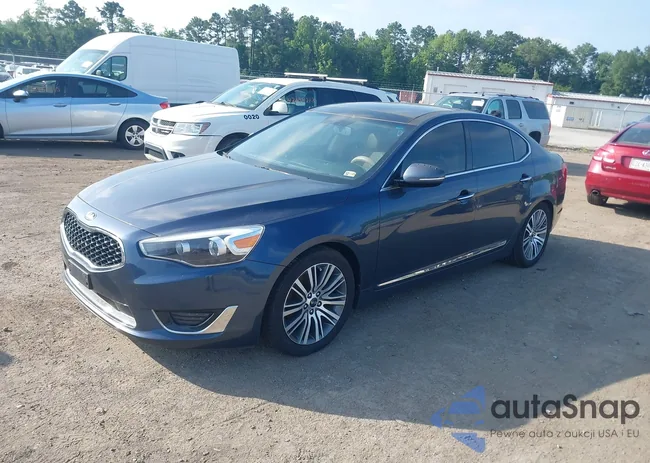 KNALN4D70F5182384: 42738099