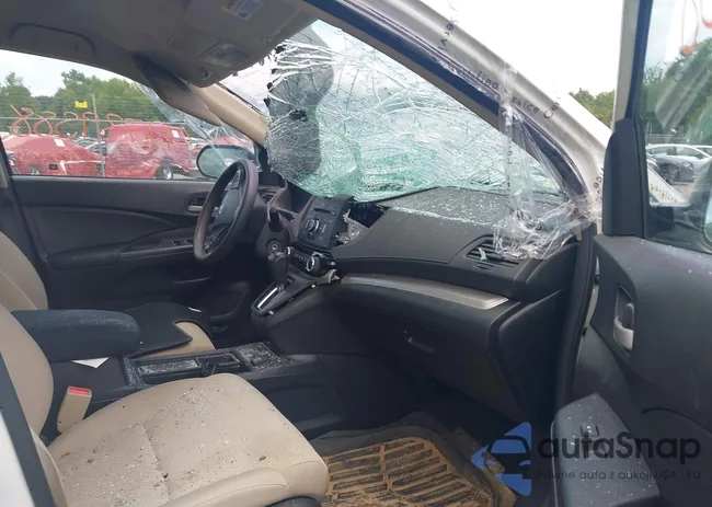 5J6RM4H33GL124557: 42739588