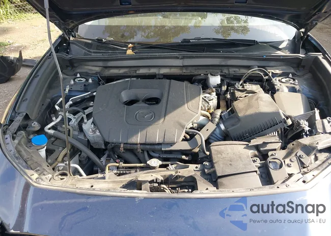 3MVDMBDM1PM519756: 42740522