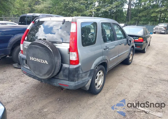 SHSRD78565U303872: 42741494