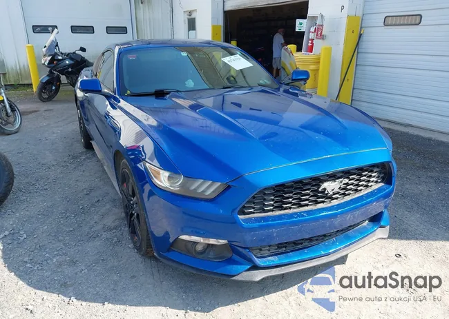 1FA6P8TH5H5249761: 42741531