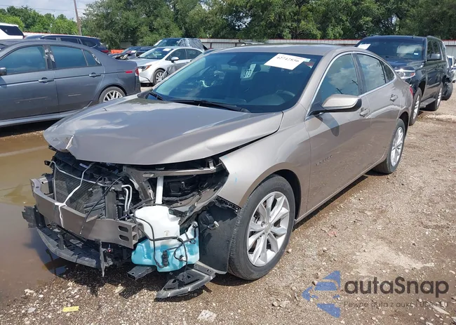 1G1ZD5ST2SF124635: 42742856