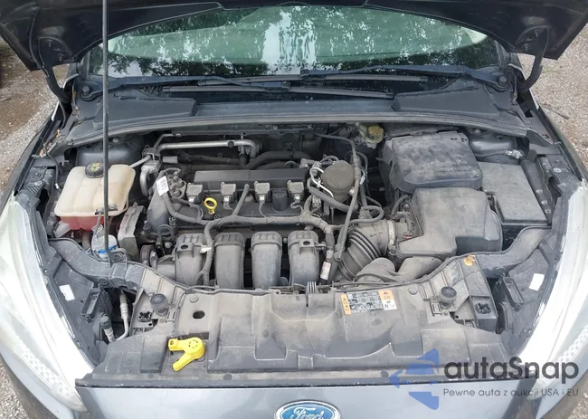 1FADP3F2XGL309724: 42744586