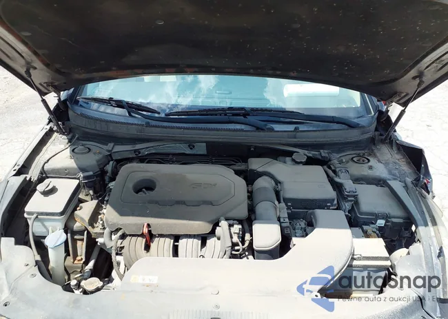 5NPE24AF4GH268976: 42747254