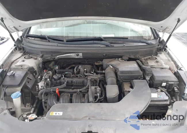 5NPE24AF1GH365553: 42750340